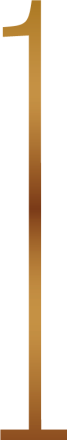 1 1